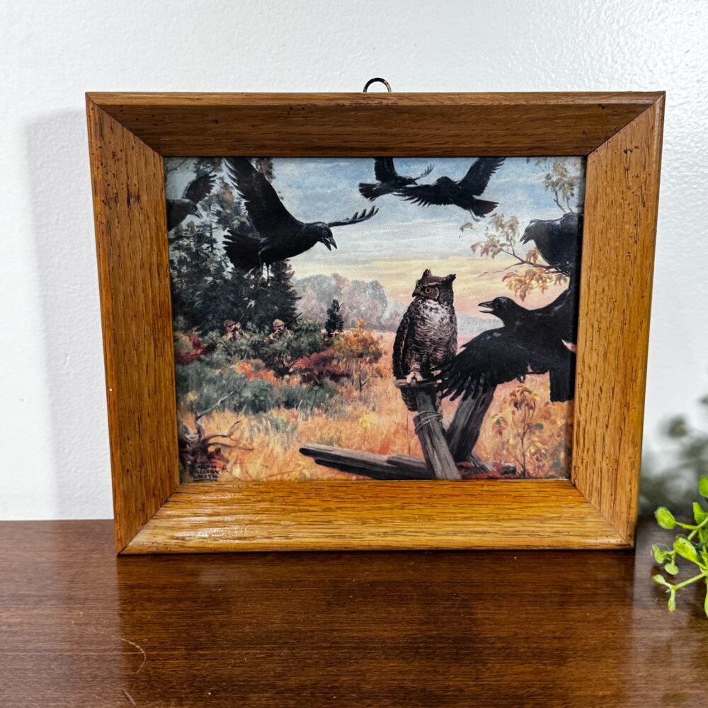 Vintage Framed Owl & Crows Wildlife Art Print Rustic Wood Frame 8x7